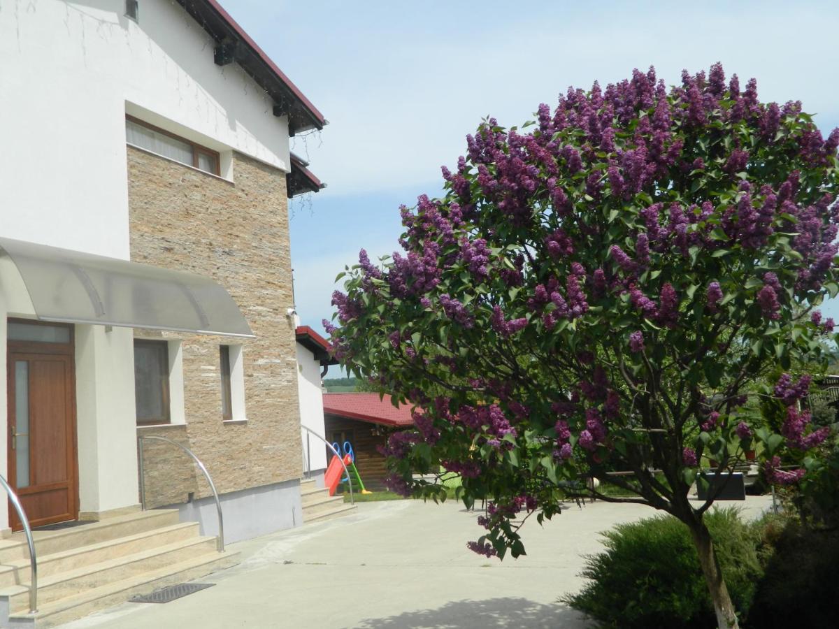 Mirana-Marginimea Sibiului Hotel Cristian  Buitenkant foto